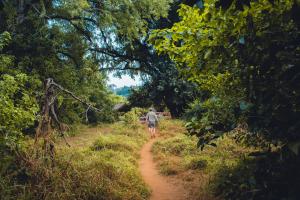 Hutwini Camp - Pafuri Walking Safaris