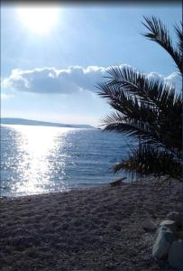 Aniva - 50 m from the sea 