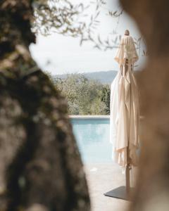 Agriturismo La Valle Di Vico