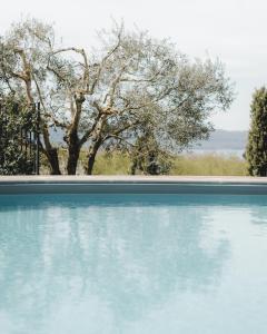 Agriturismo La Valle Di Vico