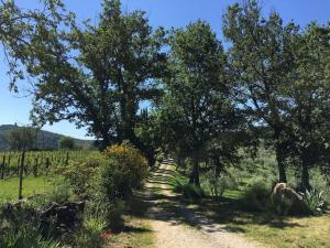 Panoramic view from stone Apartment- Pool and AC