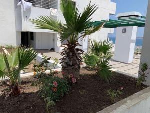 Appartement central sur la corniche de Tanger