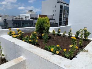 Appartement central sur la corniche de Tanger