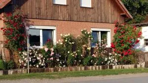 Ferienwohnung Schmitz - Visselhövede