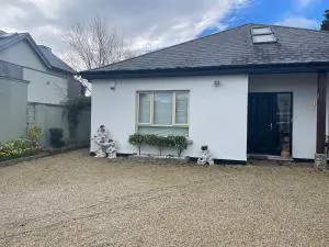 Double bedroom with private toilet and shower, easy to city center - Carrickmines