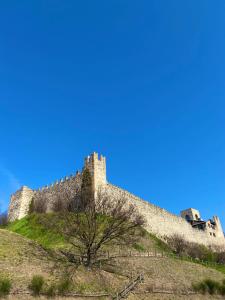 Appartamento Nido Vista Lago