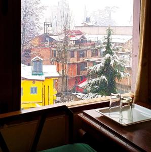 CS Shhandella Hotel