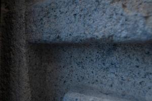 El Estudio de La Artista - El casar de Leo