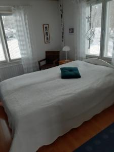 PUUTARHAHUONEISTO CASINONSAARI