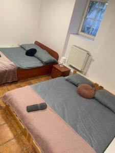 Central and affordable room in basement