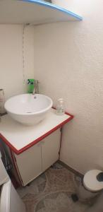 Appartements Studio location saisonniere de avril a fin octobre : photos des chambres