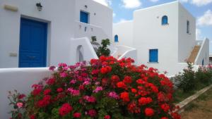 Ammoudia Studios Naxos Greece