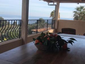 Appartement villa toit terrasse