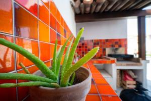 Maison air conditionné, piscine, quartier calme proche des plages