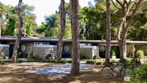 Seafront Apartments1 DOlivo al Mare