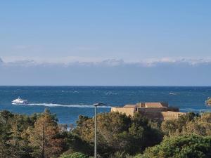 GIEDES Appartement pour 4 personnes avec vue mer face à Porquerolles et piscine situé à Giens