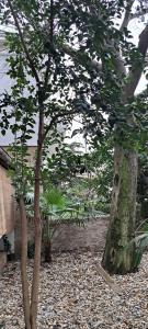 Bamboo Oasis Apartment with terrace in the garden and free parking, Rijeka