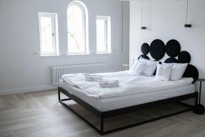 Srebrna Luxury Apartments - willa fabrykancka