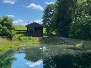 The Mockingbird - Nelsonville