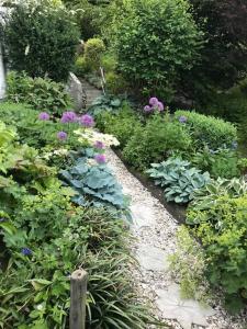 Privatwohnung mit Terrasse zum Relaxen