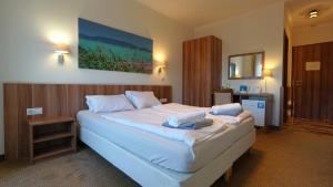 Double Room with Balcony room in Balaton Colors Beach Hotel
