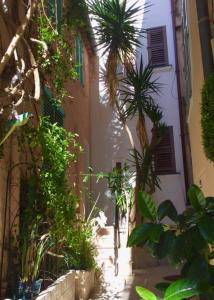 Petite maison mitoyenne au cœur de Saint tropez