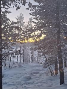 Holiday Home Samanitieva