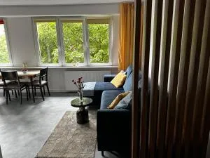 Nowy Apartament Lipowa - 哈伊努夫卡