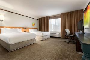 Queen Room with Two Queen Beds - Mobility and Hearing Access room in Hilton Garden Inn Medford
