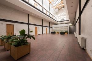 Charming loft near Old Town