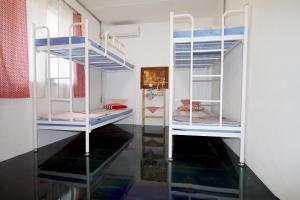 1 người trong phòng Tập Thể 4 giường (Nam & Nữ) (1 Person in 4-Bed Dormitory - Mixed)