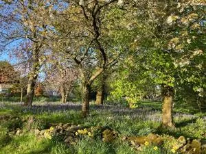 The Cabin - Carryduff