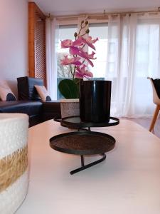 Appartements Appartement - Elancourt, France Avec WIFI : photos des chambres