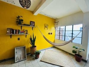 Casa Lola en el centro de Mazatlan