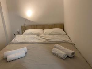 FIA HOUSE Hrom