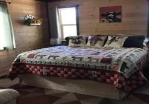 Farm House Cabin, Patio, TV Room, Games, BBQ, Campfire - Egnar