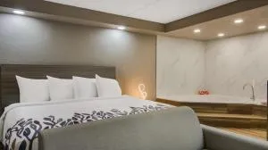 Red Roof Inn and Conference Center Chicago - N Aurora Naperville - 内珀维尔