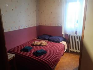 Appartements Grenoble - Seyssinet : photos des chambres