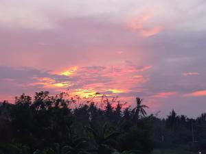 Private villa bamboo cozy