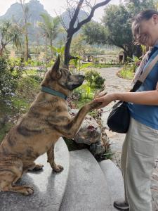 Bungalow 2 Phòng Ngủ (Two-Bedroom Bungalow)