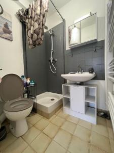 Appartements Studio Dijon entre centre ville et facultes : photos des chambres