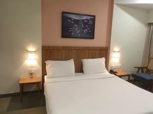 Hotel Ashray