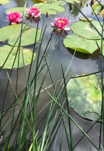 Domek Machowino w Dolinie nad Stawem