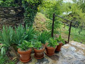 B&B / Chambres d'hotes Louradou-sur-Ciel : photos des chambres