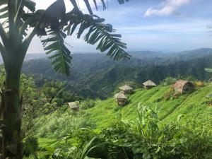 Aguanga Cabin at Threesome Cafe