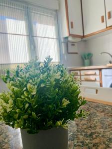 Amplio Apart 3 dormitorios cerca de la playa con garaje