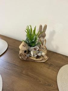 APARTMENT OWL