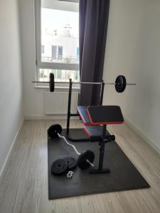 Cozy Appartment with Gym, Ursus