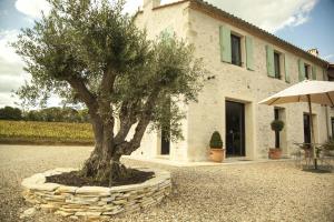 Domaine De La Dune