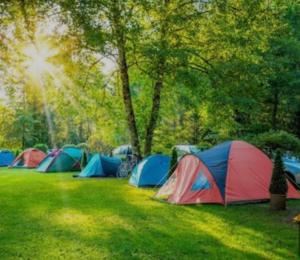 Camping & biofarm Gjegji